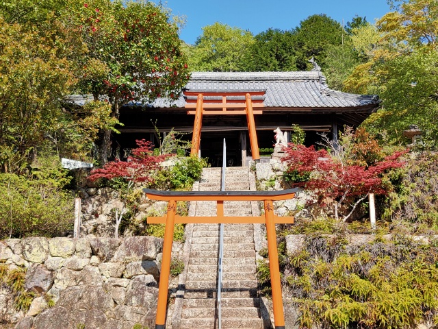 오카이나리 본전