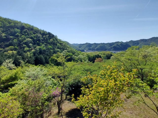 자연 풍경1